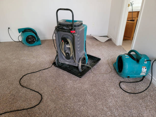 Best Local water damage restoration  in Milan, MO