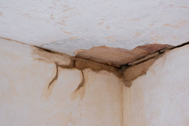 Best Water damage contractors near me  in Milan, MO
