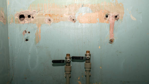Best Basement water damage restoration  in Milan, MO