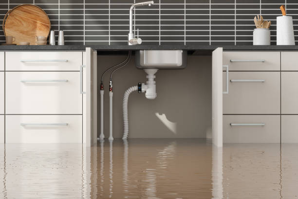 Best Water damage restoration near me  in Milan, MO